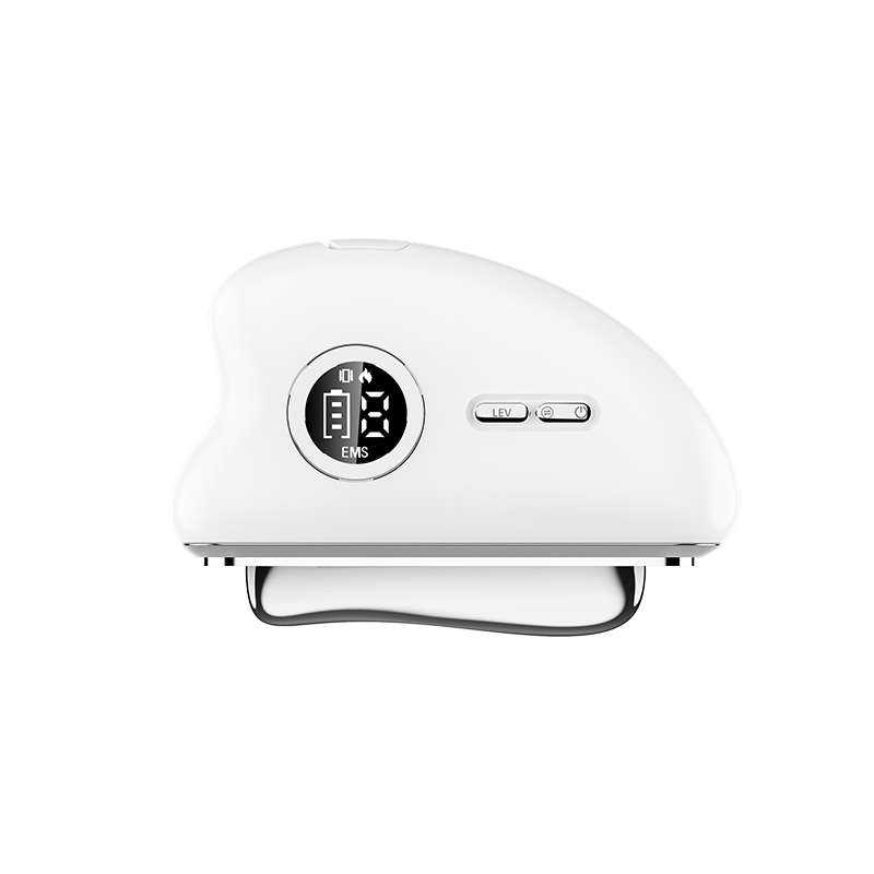 Therapy EMS Facial Scarping Beauty Instrument